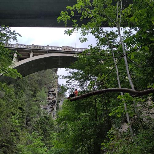 Die Brücke von unten fotografiert, wie ein Schüler abgeseilt wird