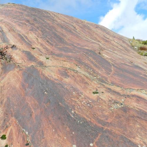 Gepatsch Schulausflug