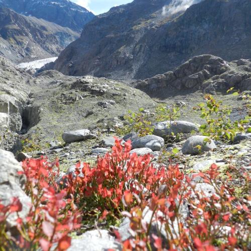 Gepatsch Schulausflug