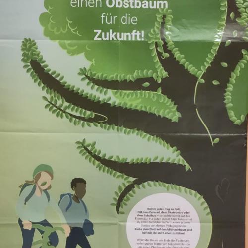 Silberlinde